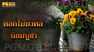 ดอกไม้มงคล นิยมบูชา