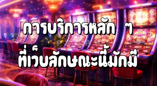 Pigpg มีบริการอะไรบ้าง