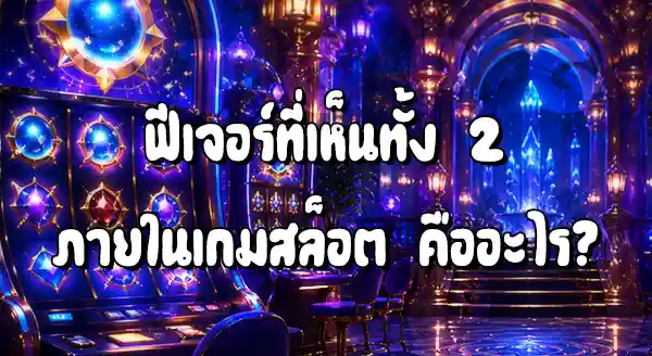 Scatter กับ Wild ต่างกันยังไง