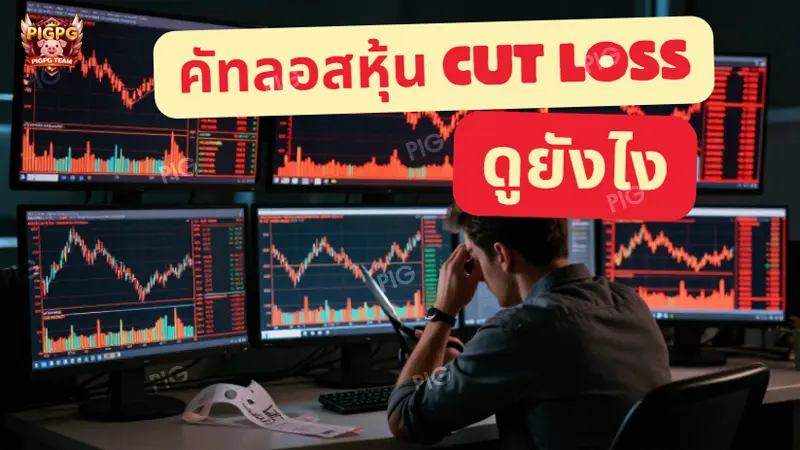 คัทลอสหุ้น ดูยังไง