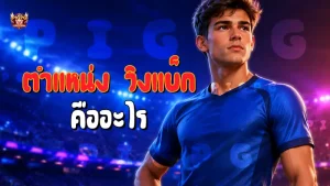 ตำแหน่ง วิงแบ็ก คืออะไร