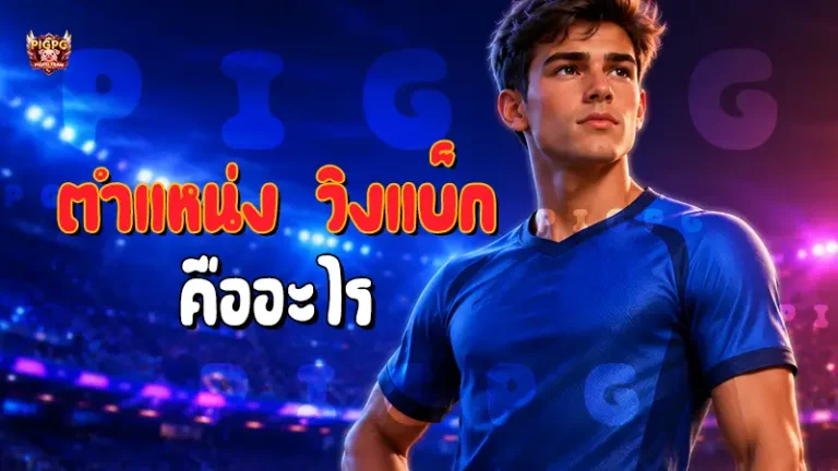 ตำแหน่ง วิงแบ็ก คืออะไร