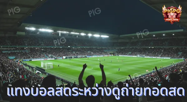 แทงบอลโลก ดูสดได้ไหม